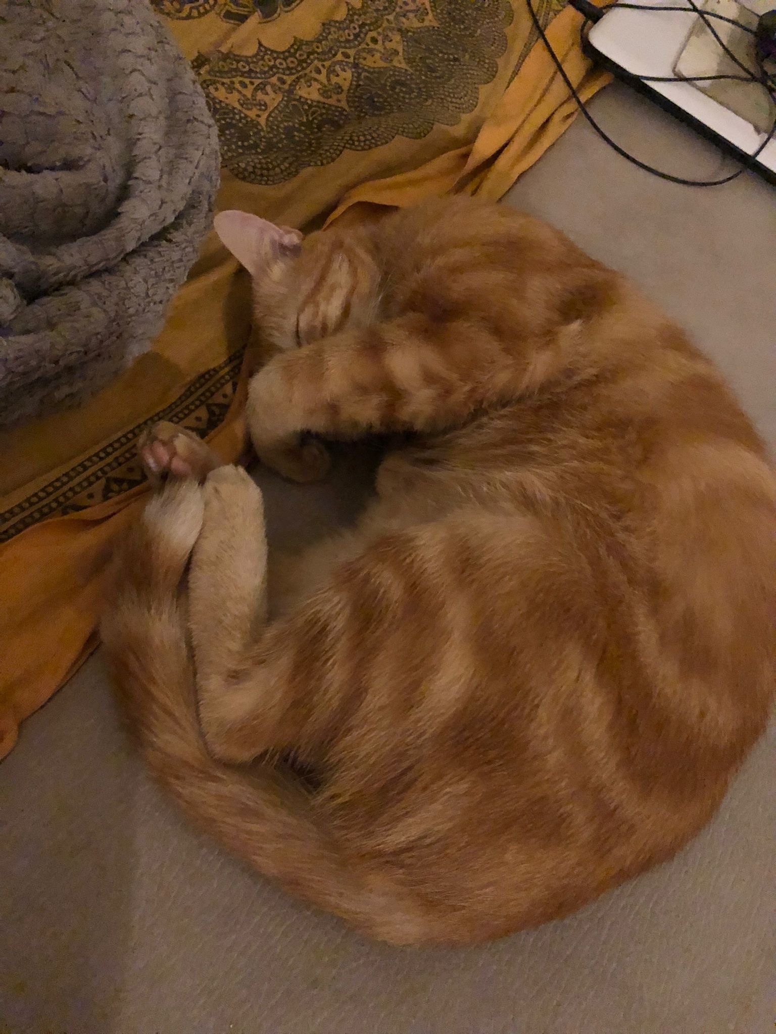 Profil de Daymon, 19 ans, Sex à Bedford