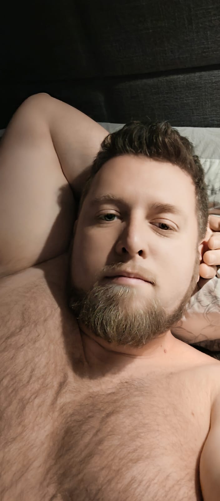 Profil de Houdaifa, 37 ans, Sex à Duchess