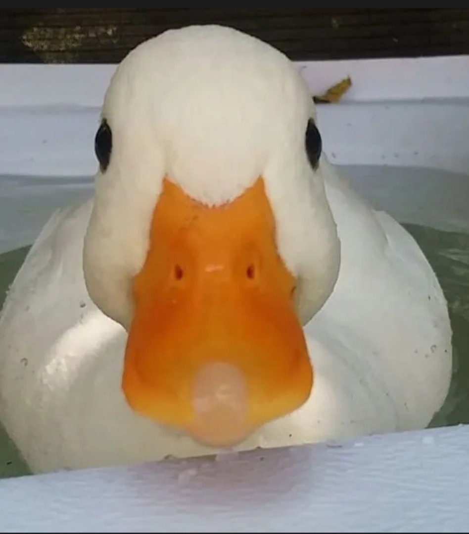 Profil de Mathew, 20 ans, Sex à Rycroft