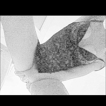 Profil de Claire, 40 ans, Sex à Pangman