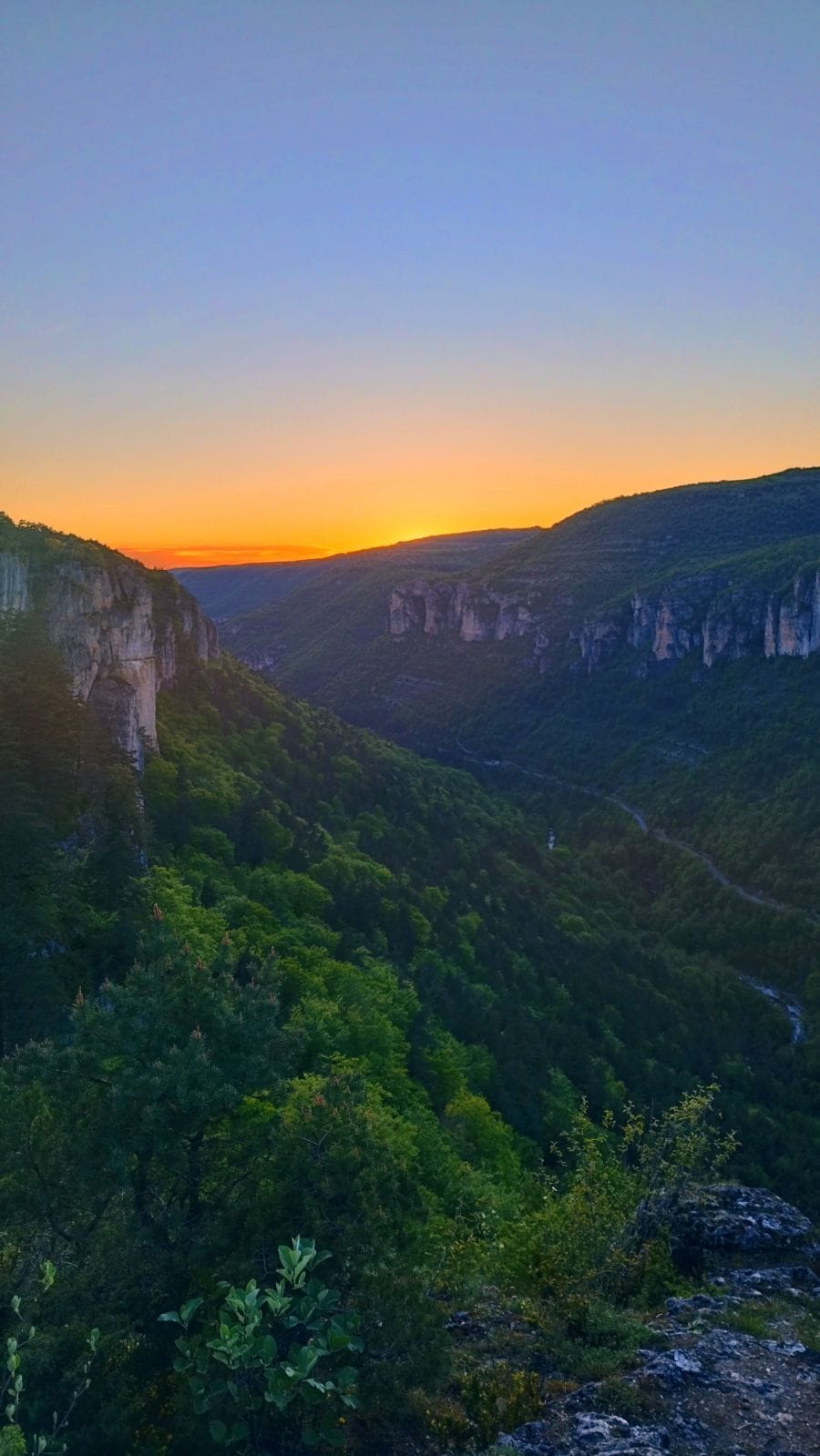 Profil de Antone, 19 ans, Sex à Forestburg