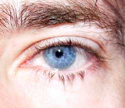 Profil de Arjun, 52 ans, Sex à Les Cèdres