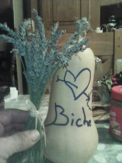 Profil de Igor, 53 ans, Sex à Dunham