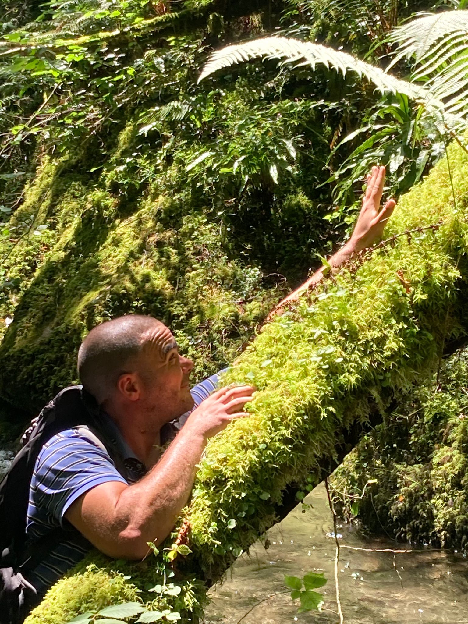 Profil de Marc-pierre, 41 ans, Sex à Annaheim