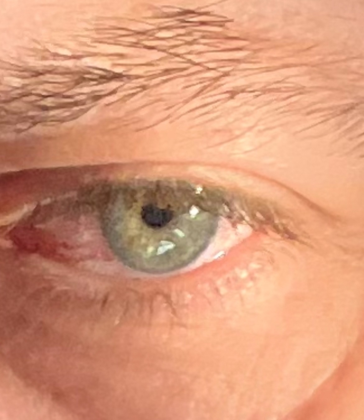 Profil de Inel, 50 ans, Sex à Rosemère